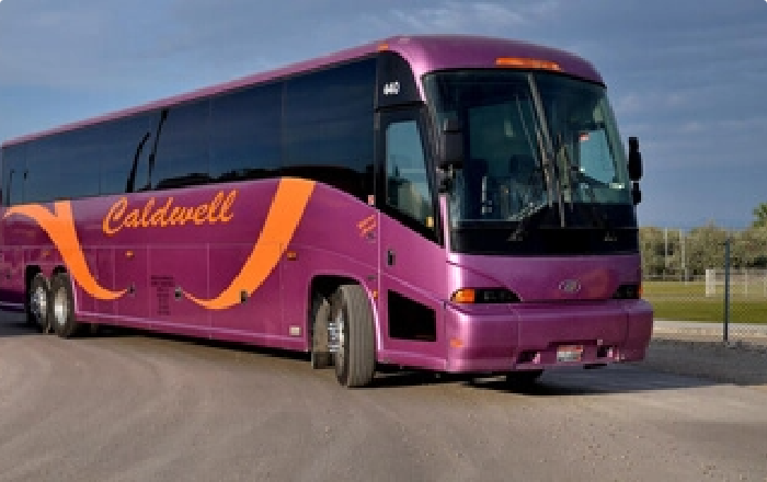 Purple Bus