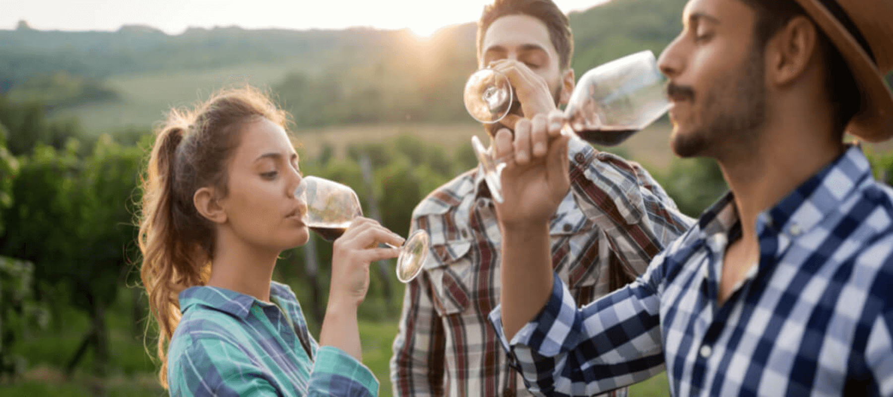 3 people drinking wine at a winery