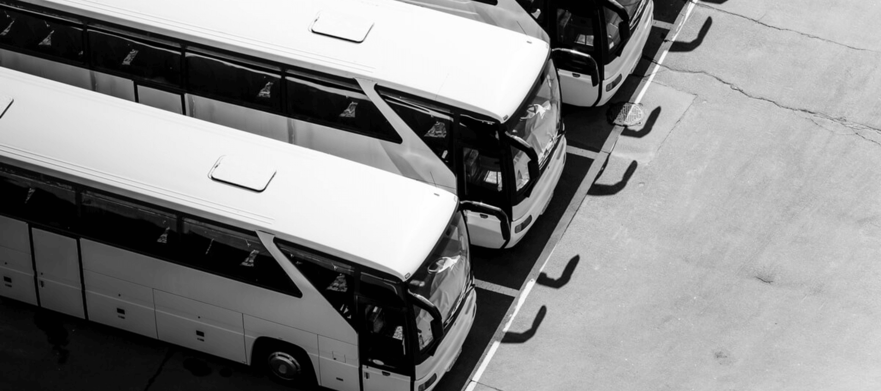 charter buses lined up