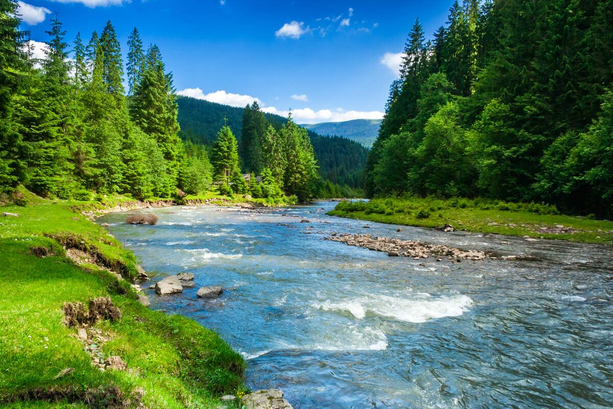 River running in the spring