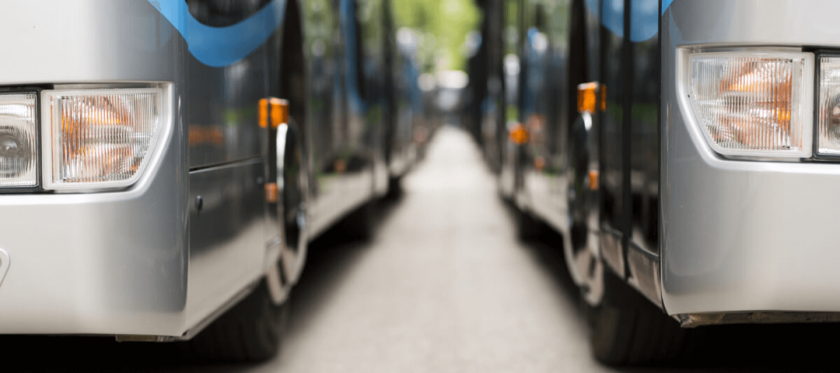 two charter buses lined up next to each other